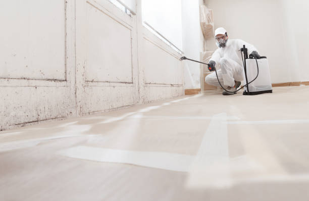 24/7 Emergency Commercial Mold Remediation experts in Richland, MI