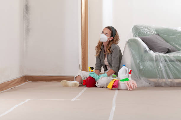 Reliable Mold Cleanup contractor in Richland, MI by Cheap Mold Removal